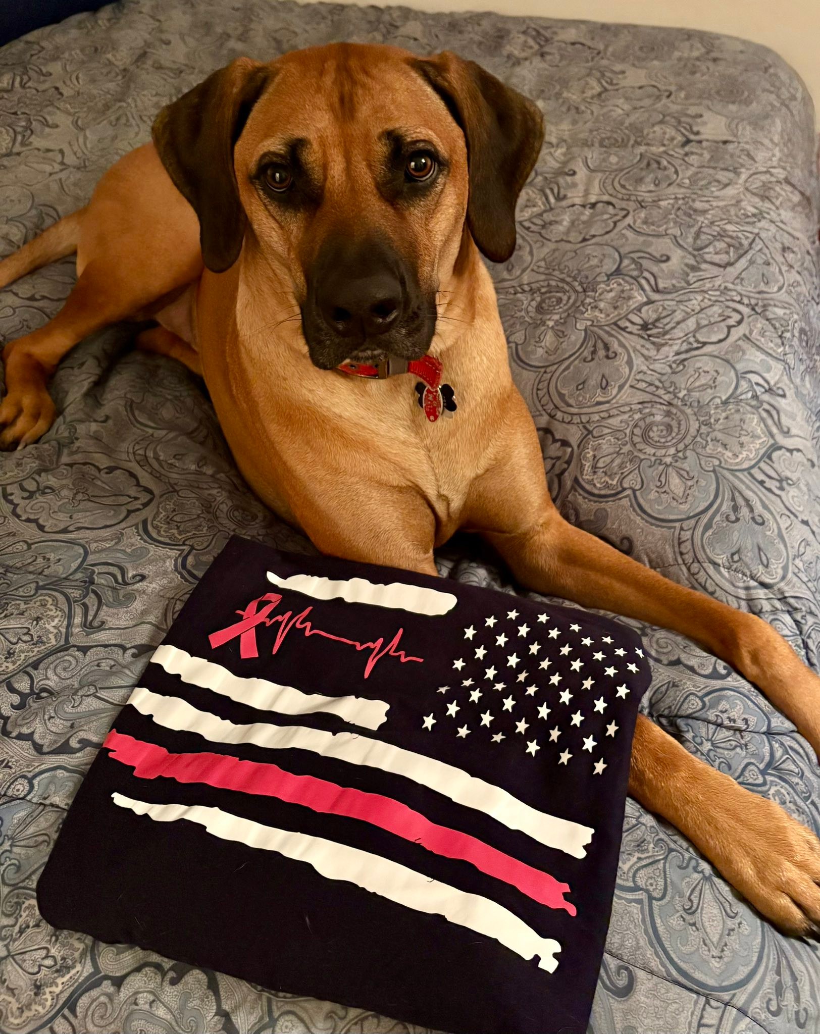 RRCUS - Rhodesian Ridgeback Club of the United States | 2025 Adventures ...