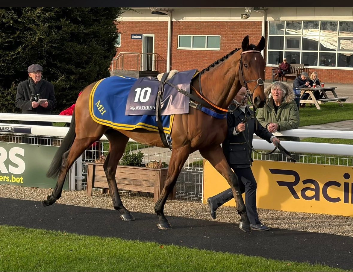 🐎 Book your tour to come & meet... - Middleham Racing Tours | Facebook