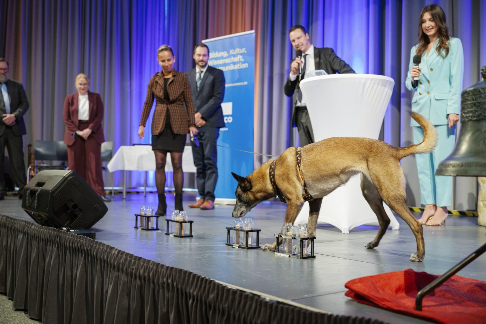 VDH Deutsche... - VDH Deutsche Meisterschaft 2022