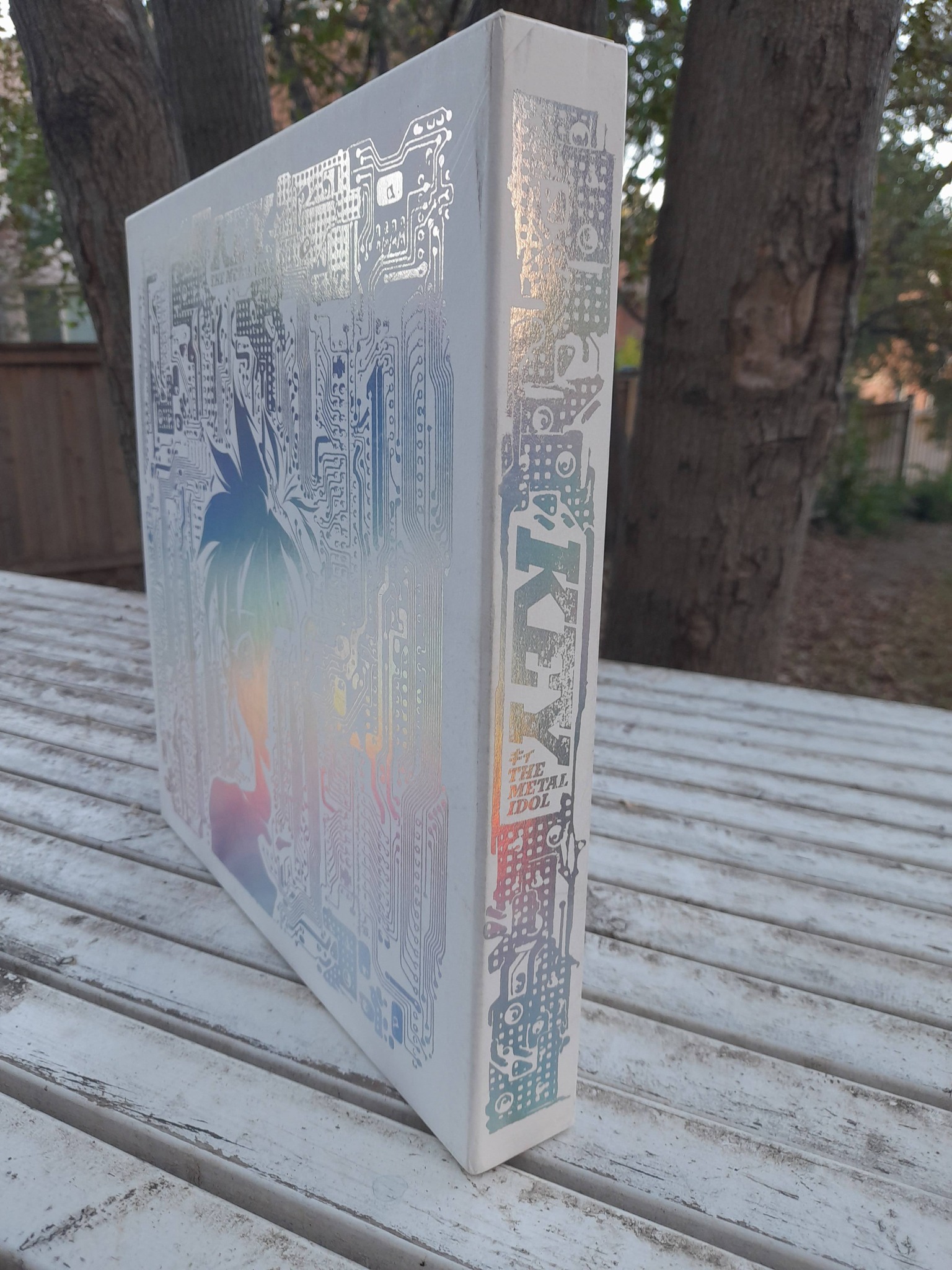 First anime on Laserdisc: Key the Metal Idol and One Pound Gospel
