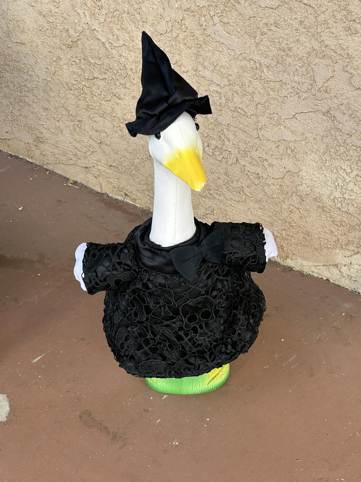 The Porch Goose Club of America | My mom made my porch goose this witch ...