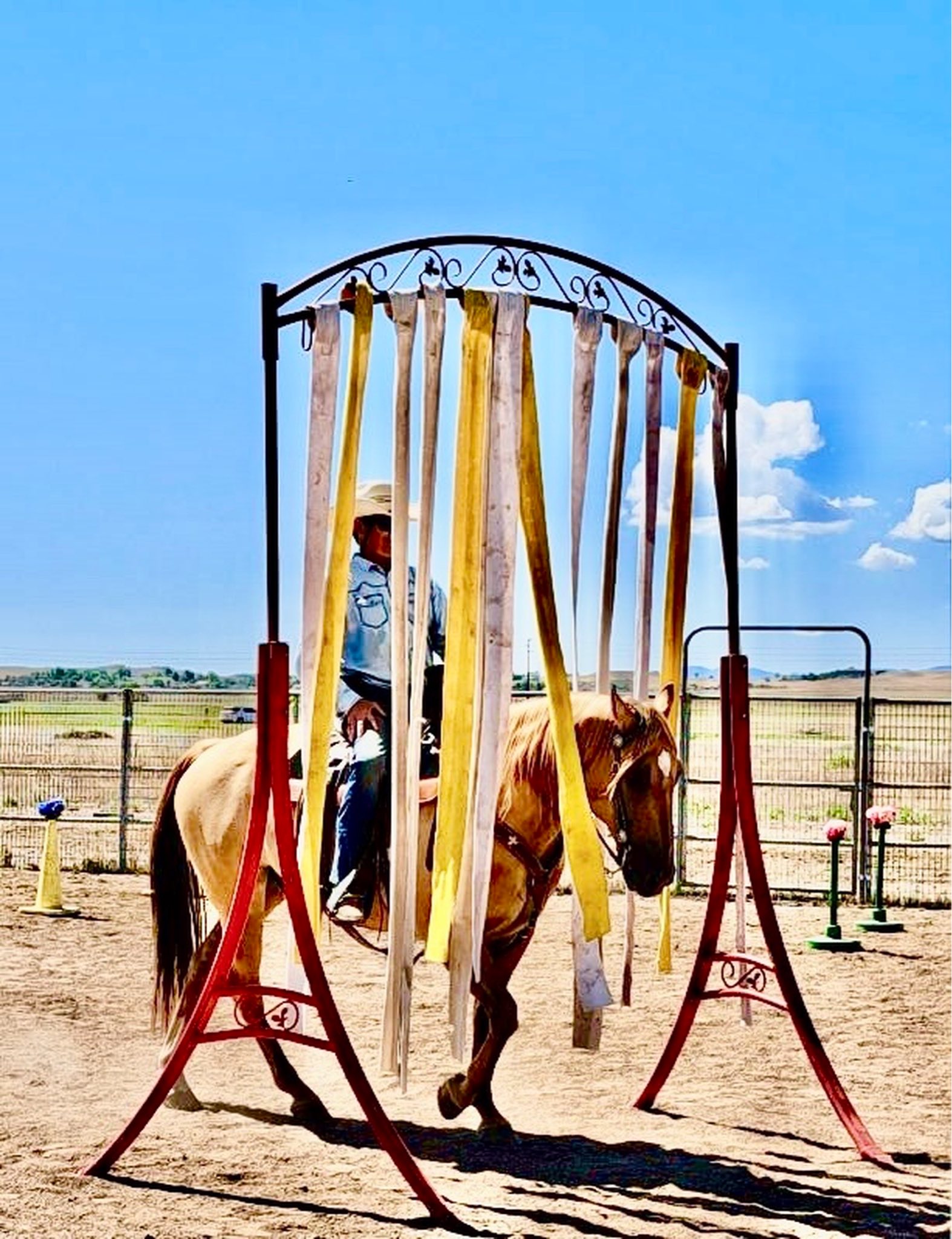 Megan - Meet Bryan Gabbard, the Sunset Ranch Obstacle Challenge 2025 ...