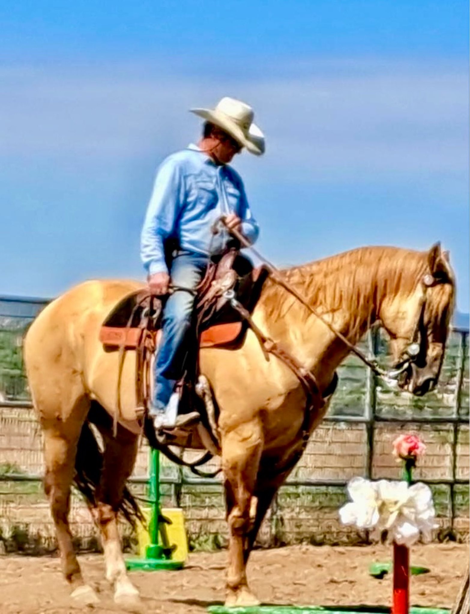 Megan - Meet Bryan Gabbard, the Sunset Ranch Obstacle Challenge 2025 ...