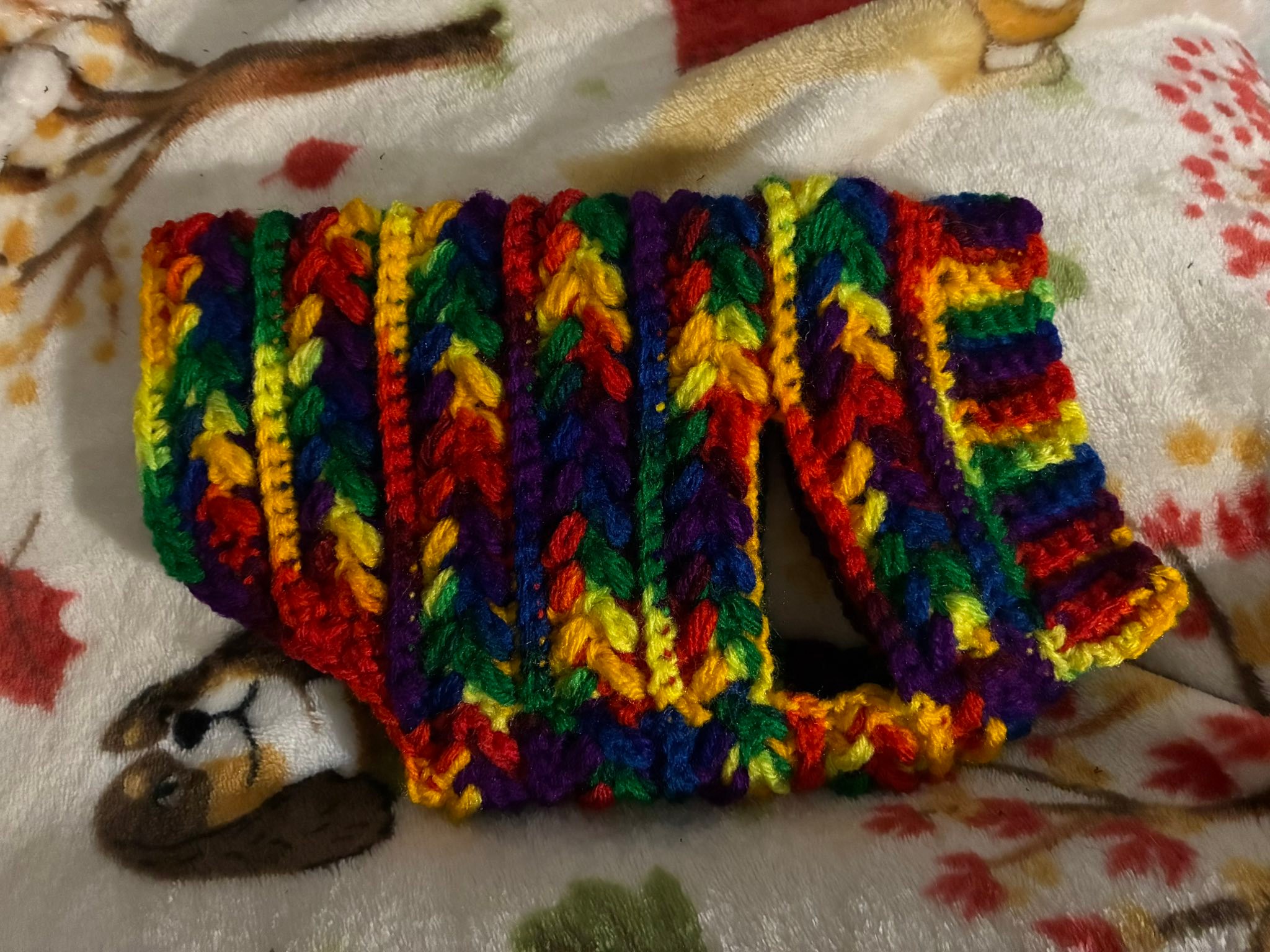 Made the xs dog sweater for my friend