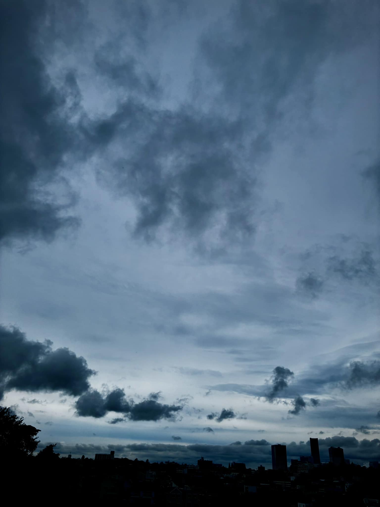 今日も雨模様