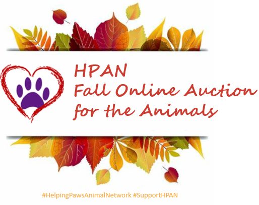 Helping Paws Animal Network Resales for Rescue! | Our fall auction ...