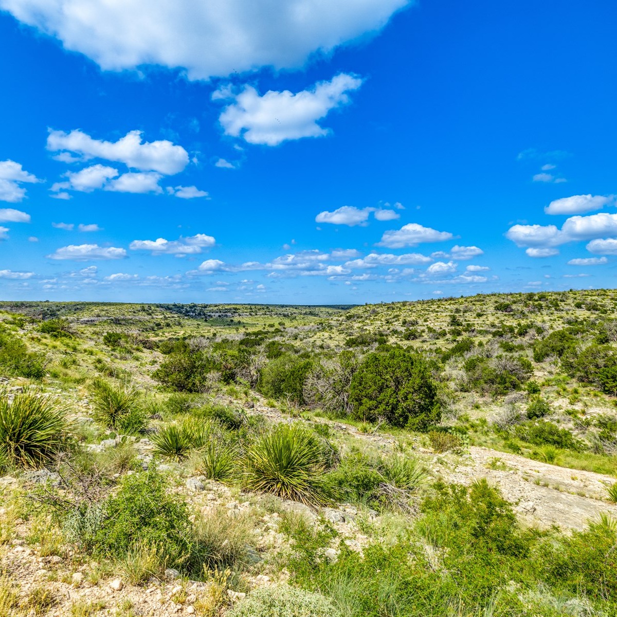 This 700-acre hunting ranch in Ozona... - UC Ranch Properties | Facebook