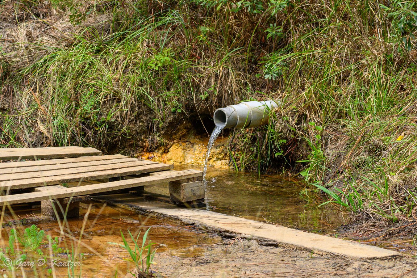 Gary - Down Middle Branch Rd. you can find two pipes feeding natural ...
