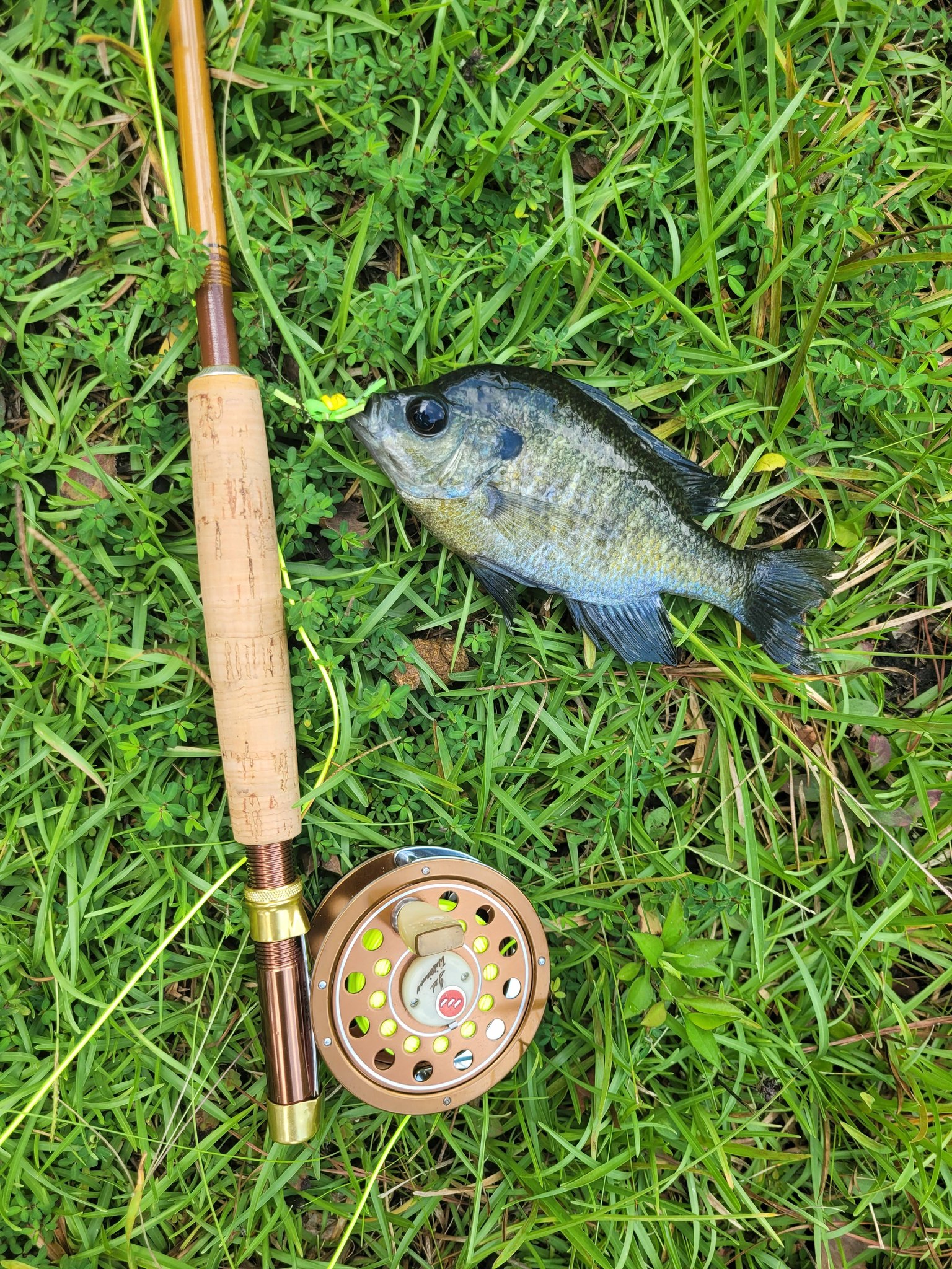 boy with fishing pole quilt block Kit Blue Plaid Fabrics, Pattern and Backing Toddler Kit 39x60 / MINKY Breeze Color:Black Back Chrome Shad binding and choice of Depthraider Best Tackle for Tarpon