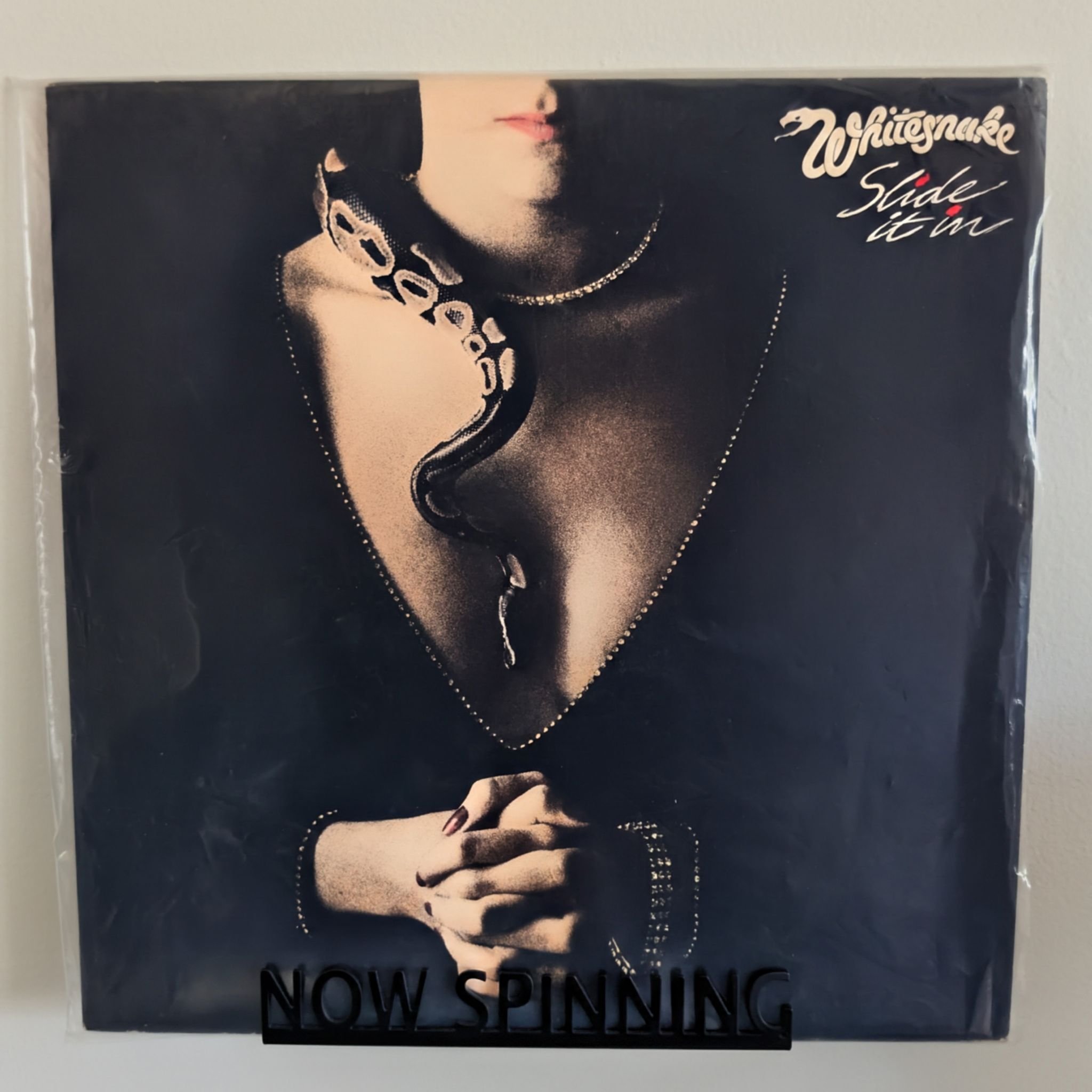 Whitesnake's 