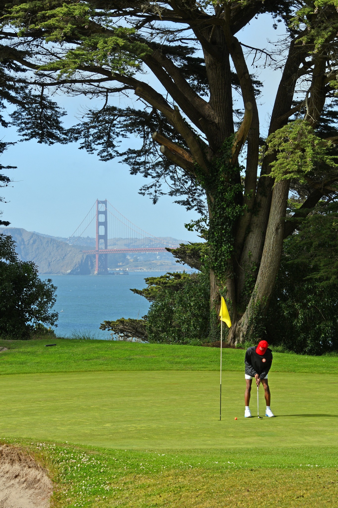 Another glorius day today over San Francisco. Here we see the