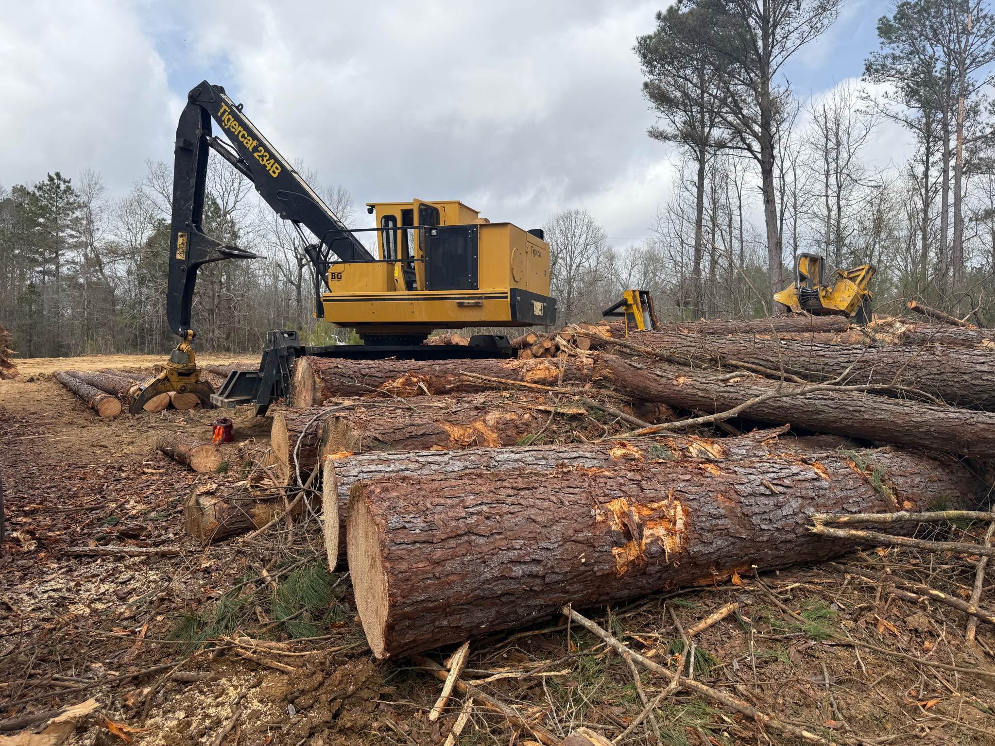 Ready to sell timber? Timber procurement / purchasing