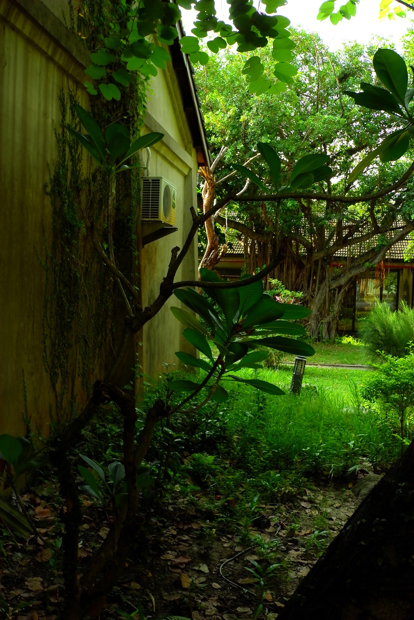 Image showcasing LEICA FANS TAIWAN | 小小聽雨軒生態園區~橋頭糖廠 | Facebook