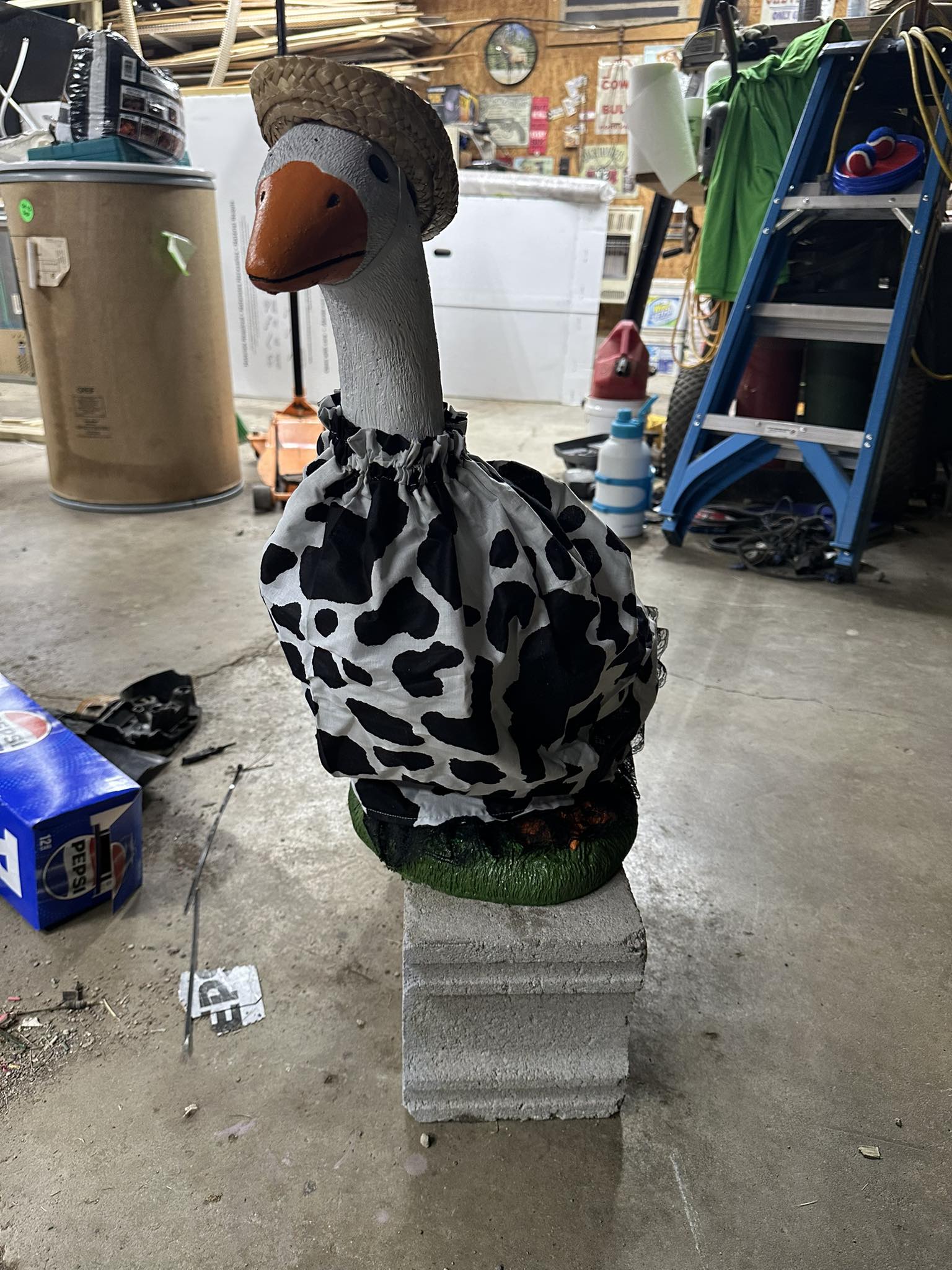 The Porch Goose Club of America | Tinley rocking her first outfit ...