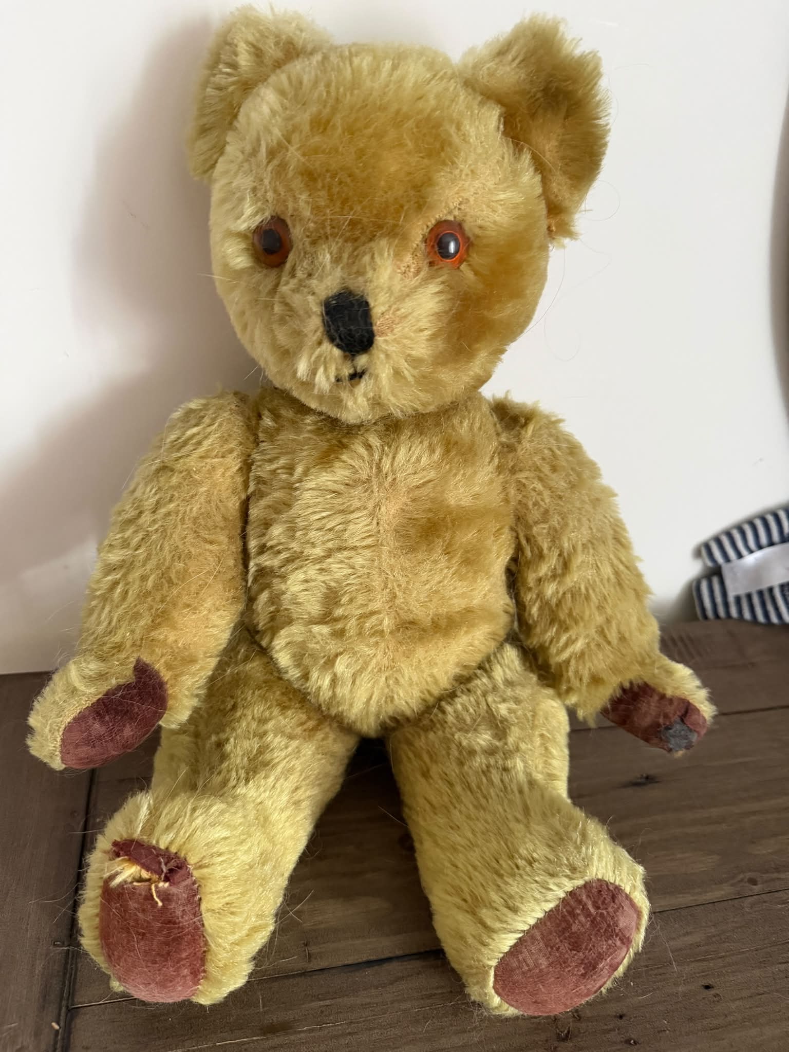 Restored 1950s English pedigree bear Henry
