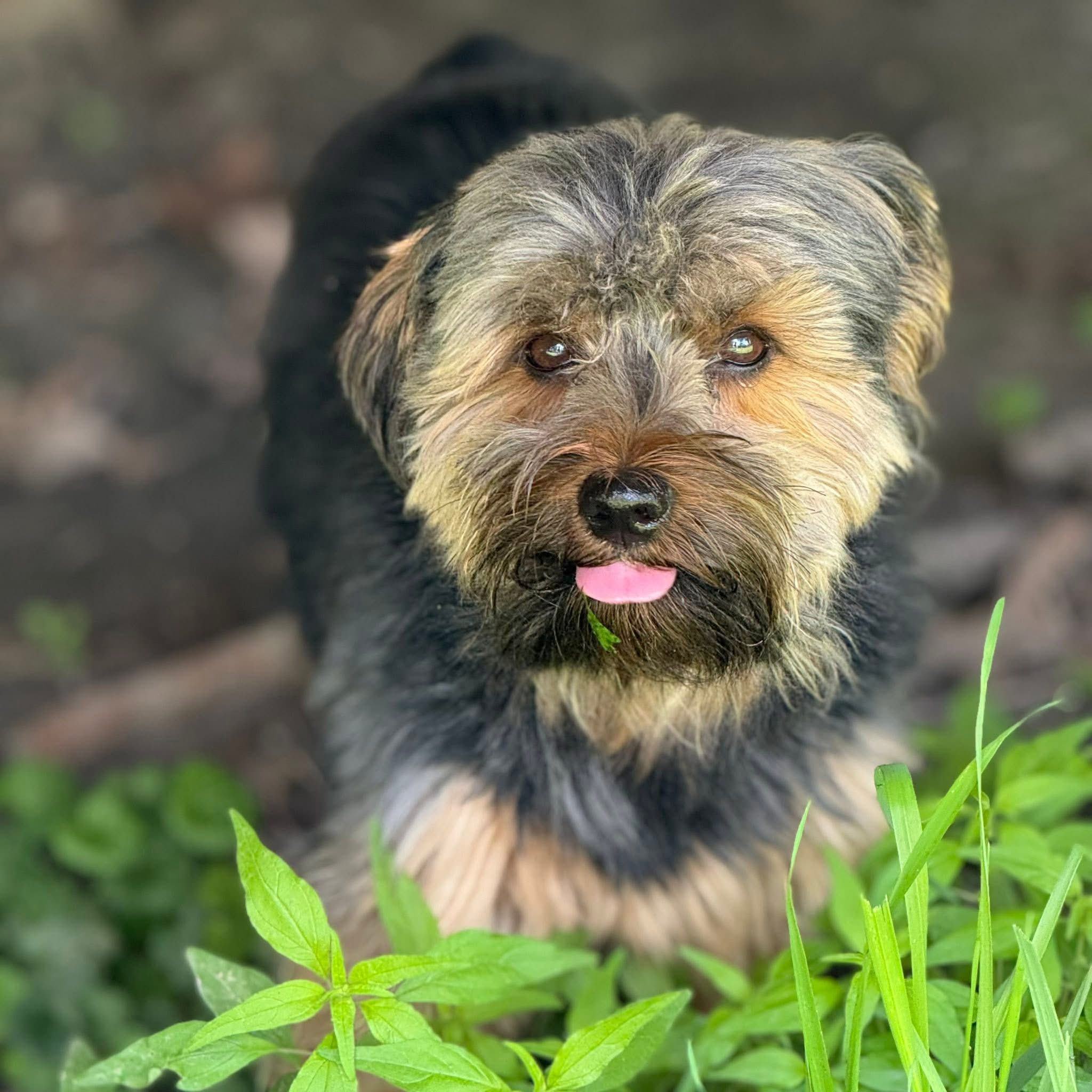 Thanks for adding us! This is Ted E. Bear. He's a whole vibe 😂🤓