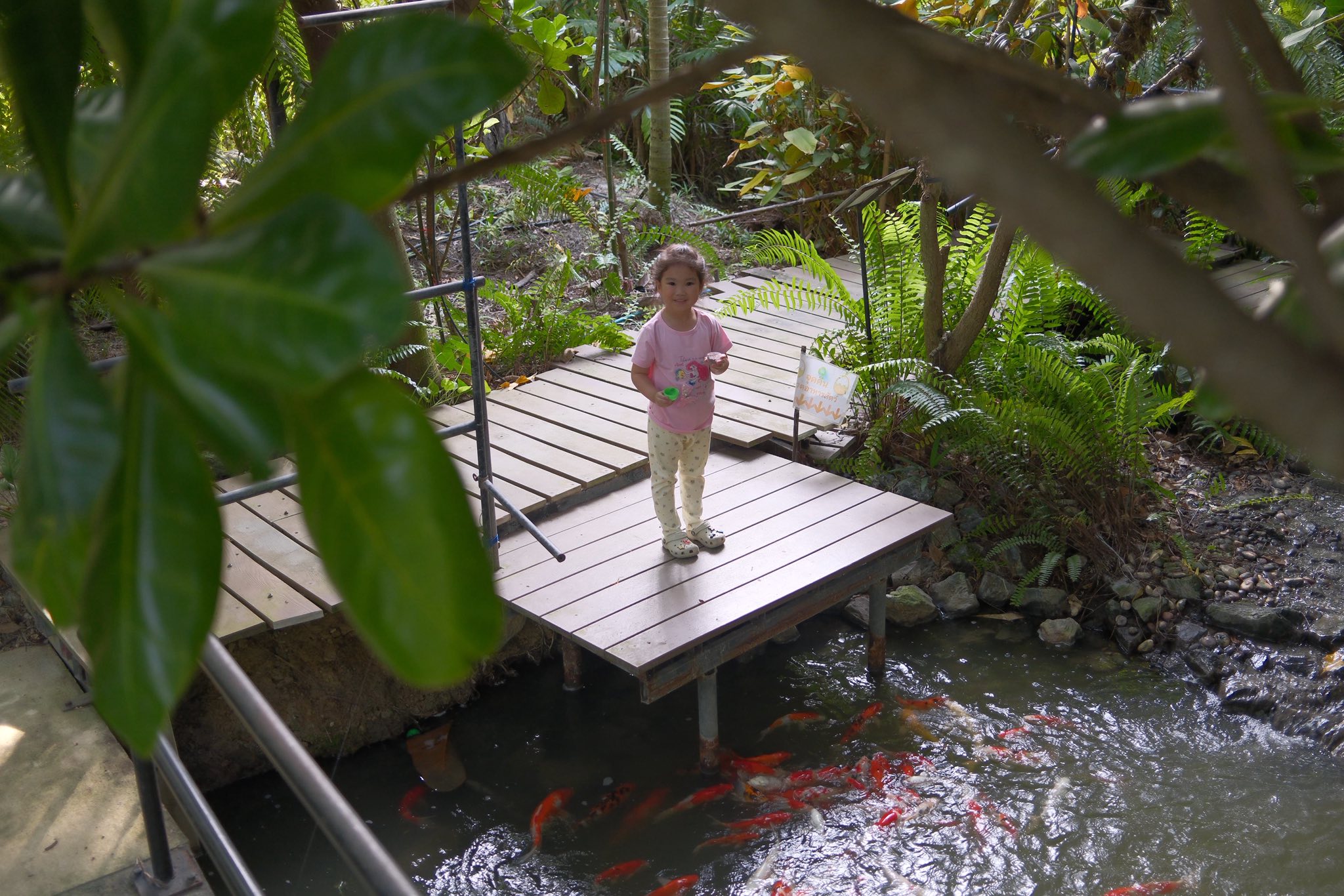 Neo Farm Thailand - หนีไวรัส มาหาธรรมชาติ 🌿🌲ณ #นีโอฟาร์ม ด้วยความรักและ ...