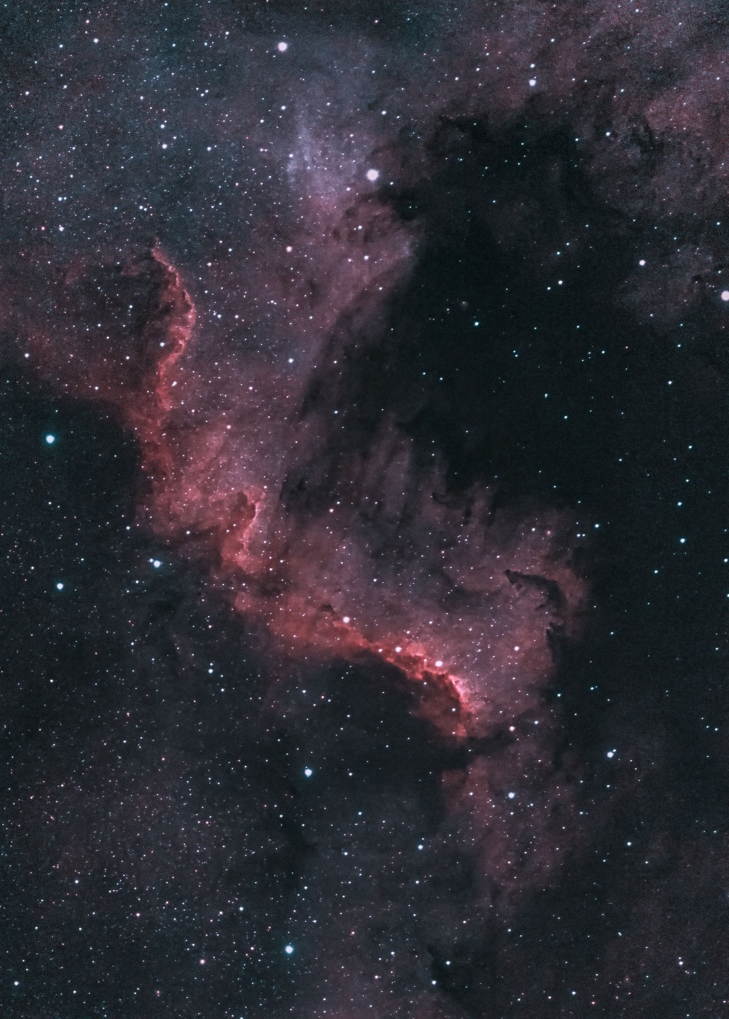 The cygnus wall, part of NGC 7000, seestar S50 1.2 mosaic.