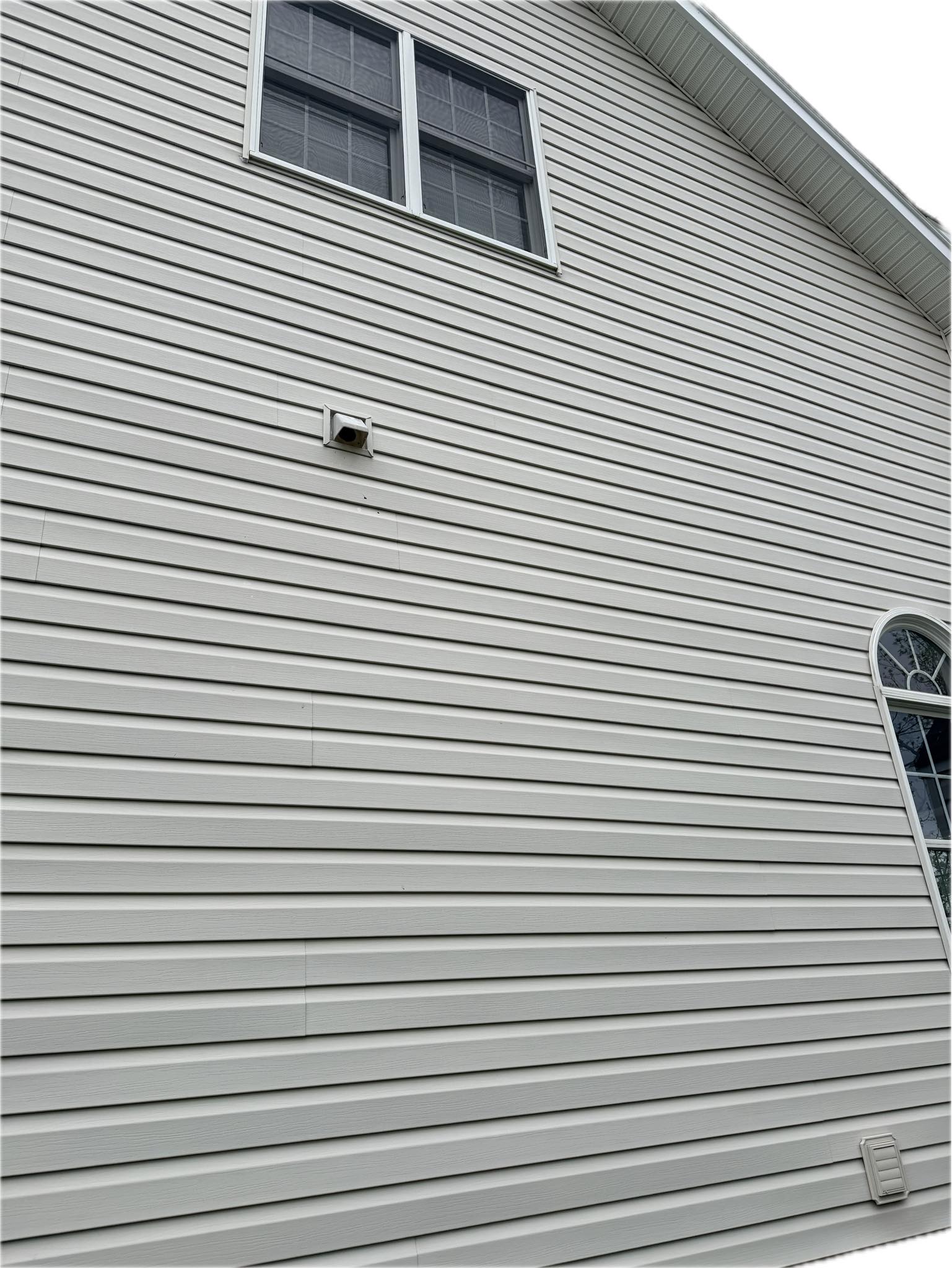 What to do with bird nesting in house vent?