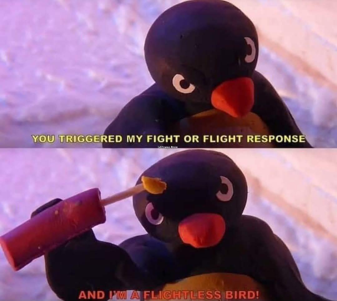 Birds with threatening auras | Facebook