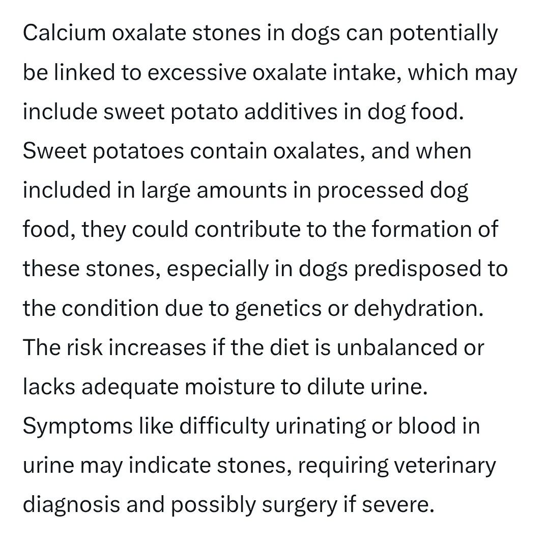 What Food Causes Kidney Stones in Dogs: A Vet's Insight
