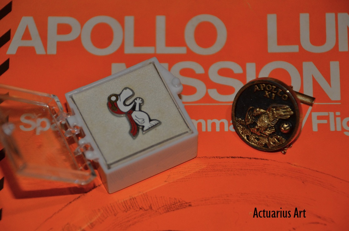 What are the origins of Grumman and NASA employee pin badges?