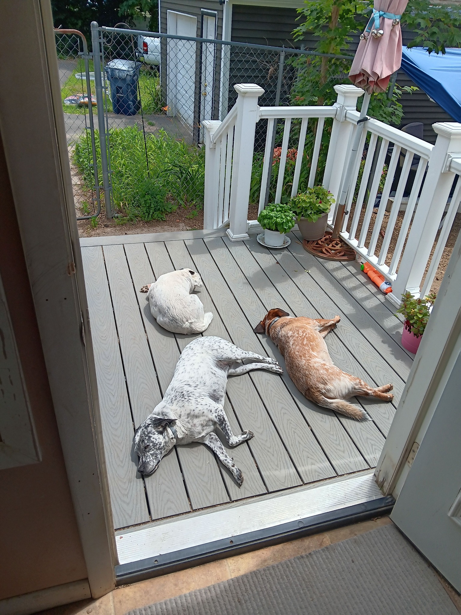 deb klowas Lazy Saturday morning in North Central Connecticut bpc 157 nebenwirkungen BPC-157