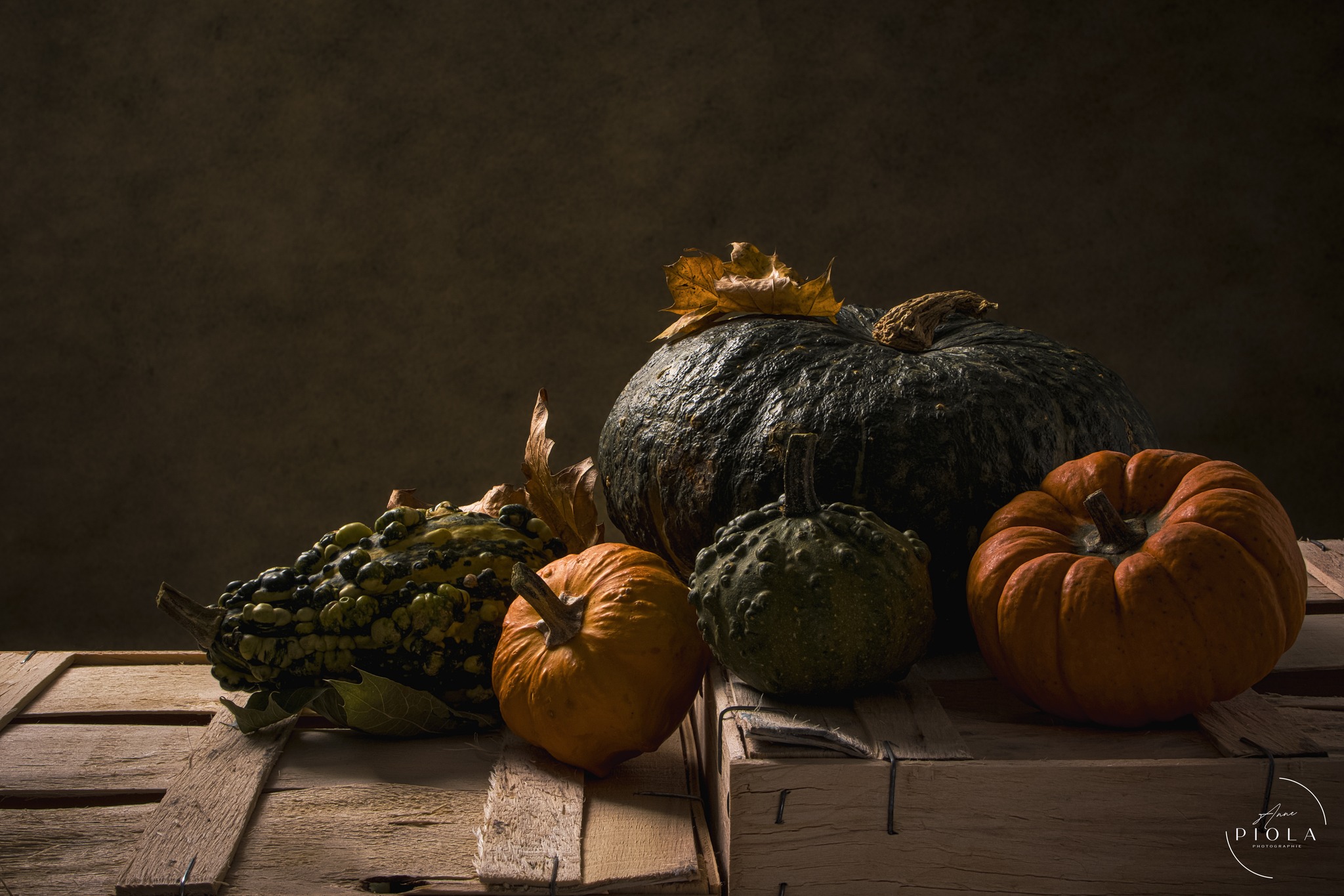 Some cucurbits to decorate for Halloween Photographer: Anne Piola 