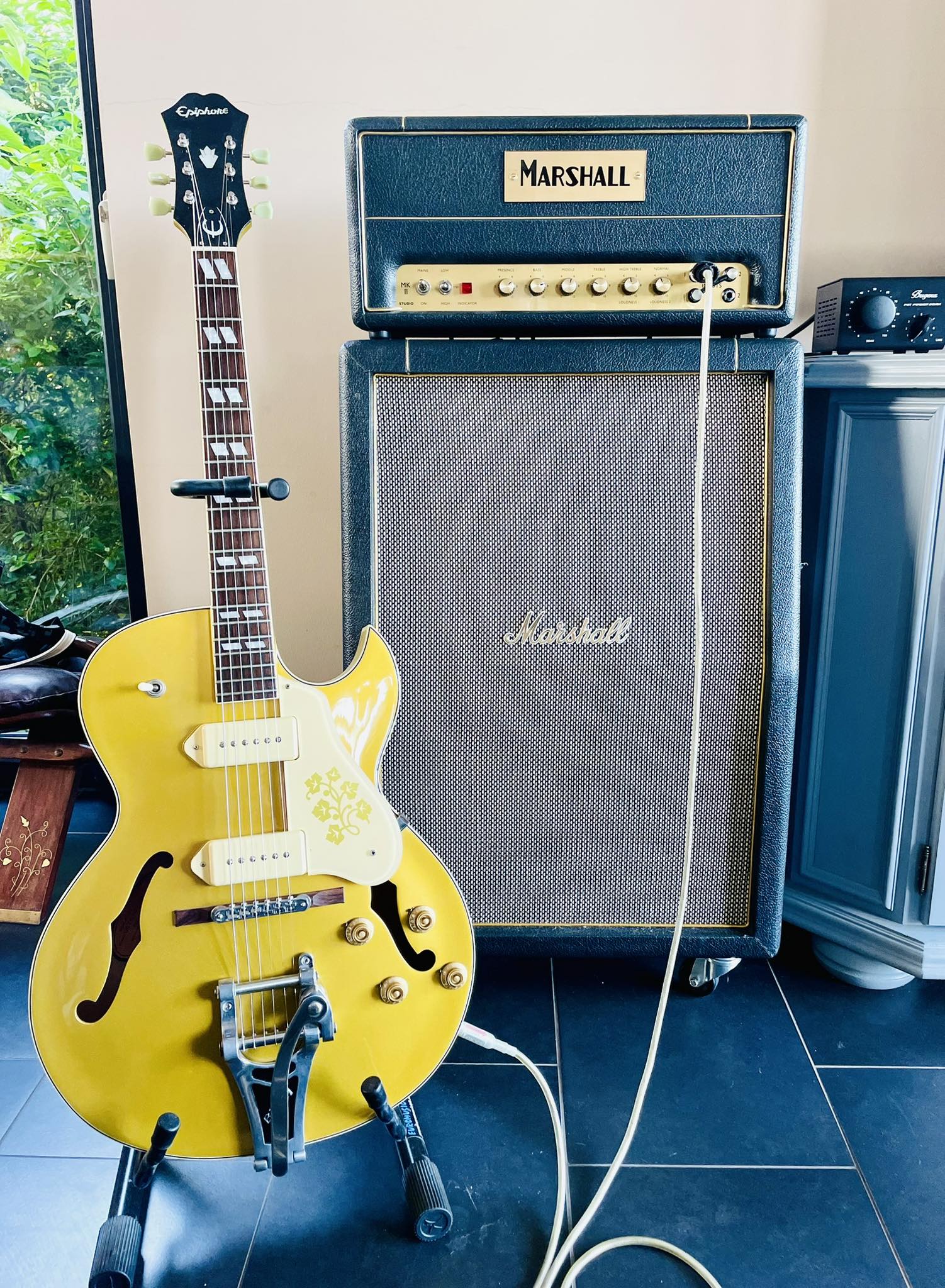 the Epiphone ES 295 fan page | Facebook