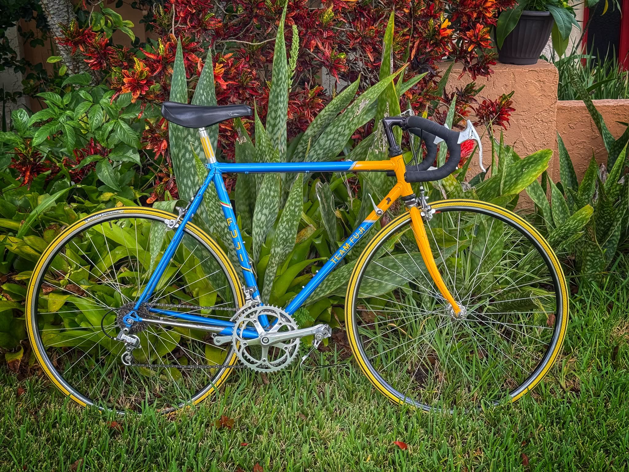 Restored 1986 Fuji Design Series bike with Suntour Superbe Pro group