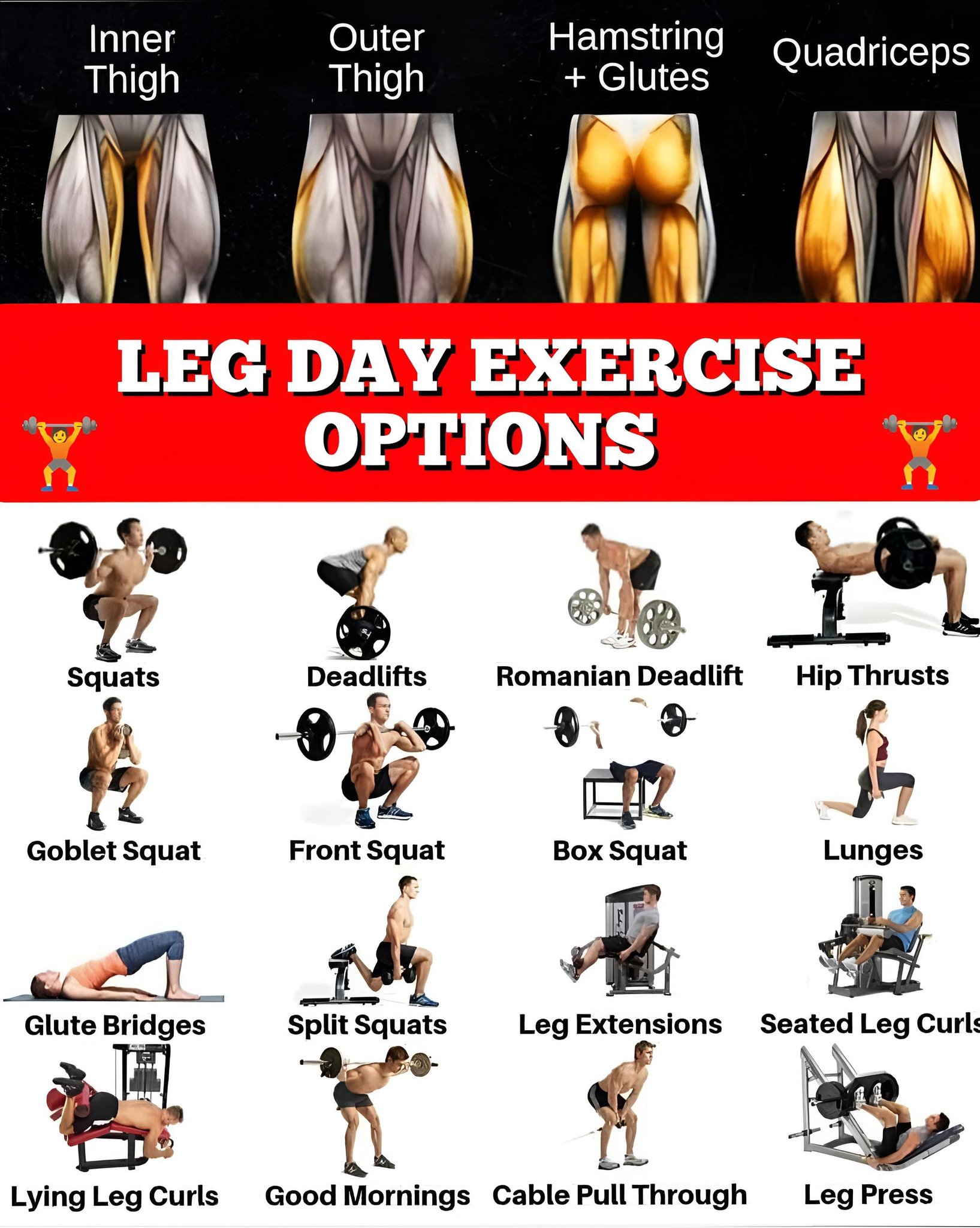 Glute And Quad Workout: Build Stronger Legs Fast