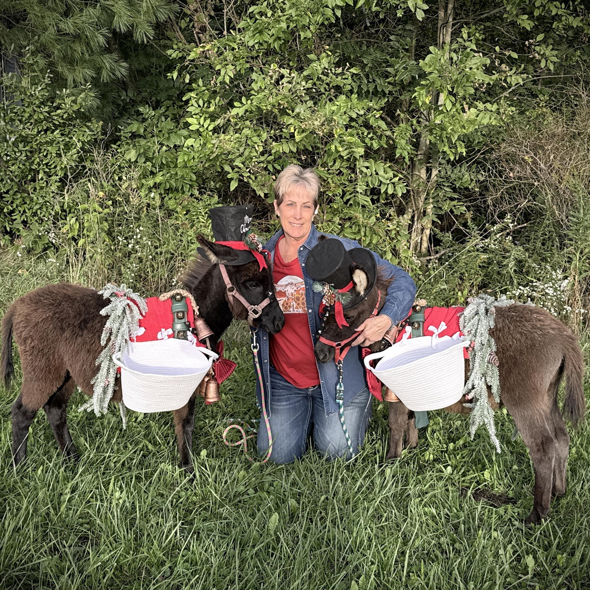 Just an old Dawdy on an Elk hunting horse…. Anyone need a very gentle ...
