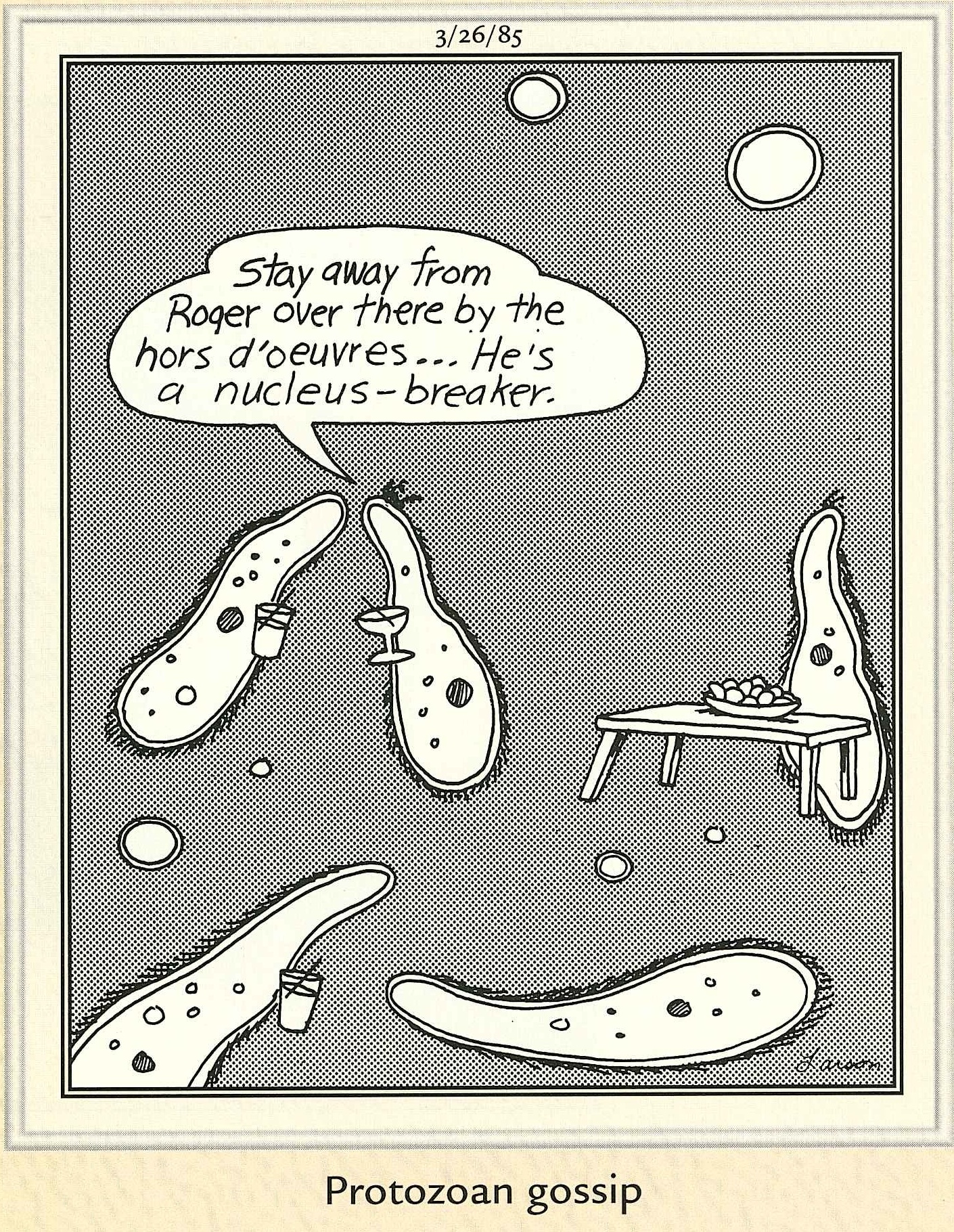 The Far Side | Facebook