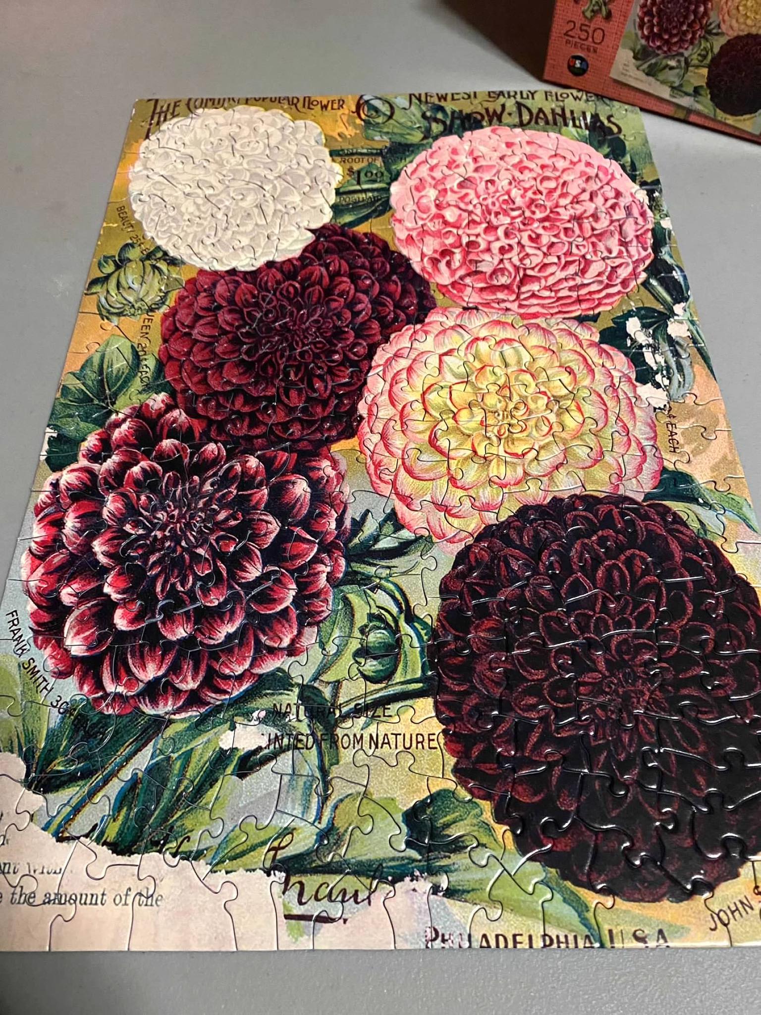 Vintage seed plant art jigsaw puzzle gift