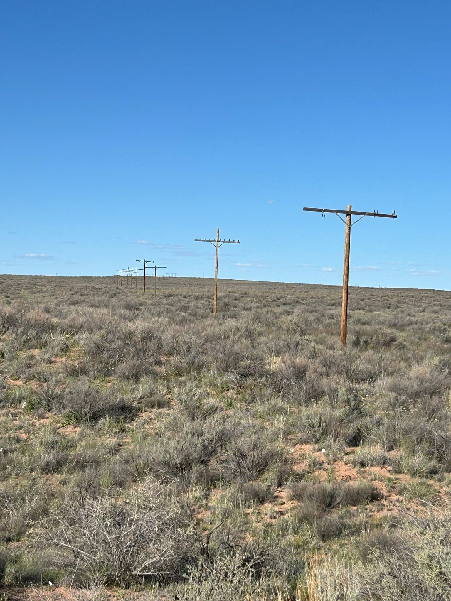 Abandoned telephone poles on Route 66 near Holbrook, AZ