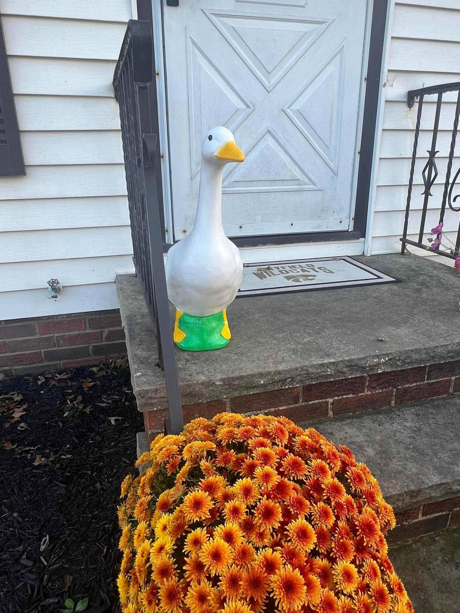 The Porch Goose Club of America | My friend got me my first porch goose ...