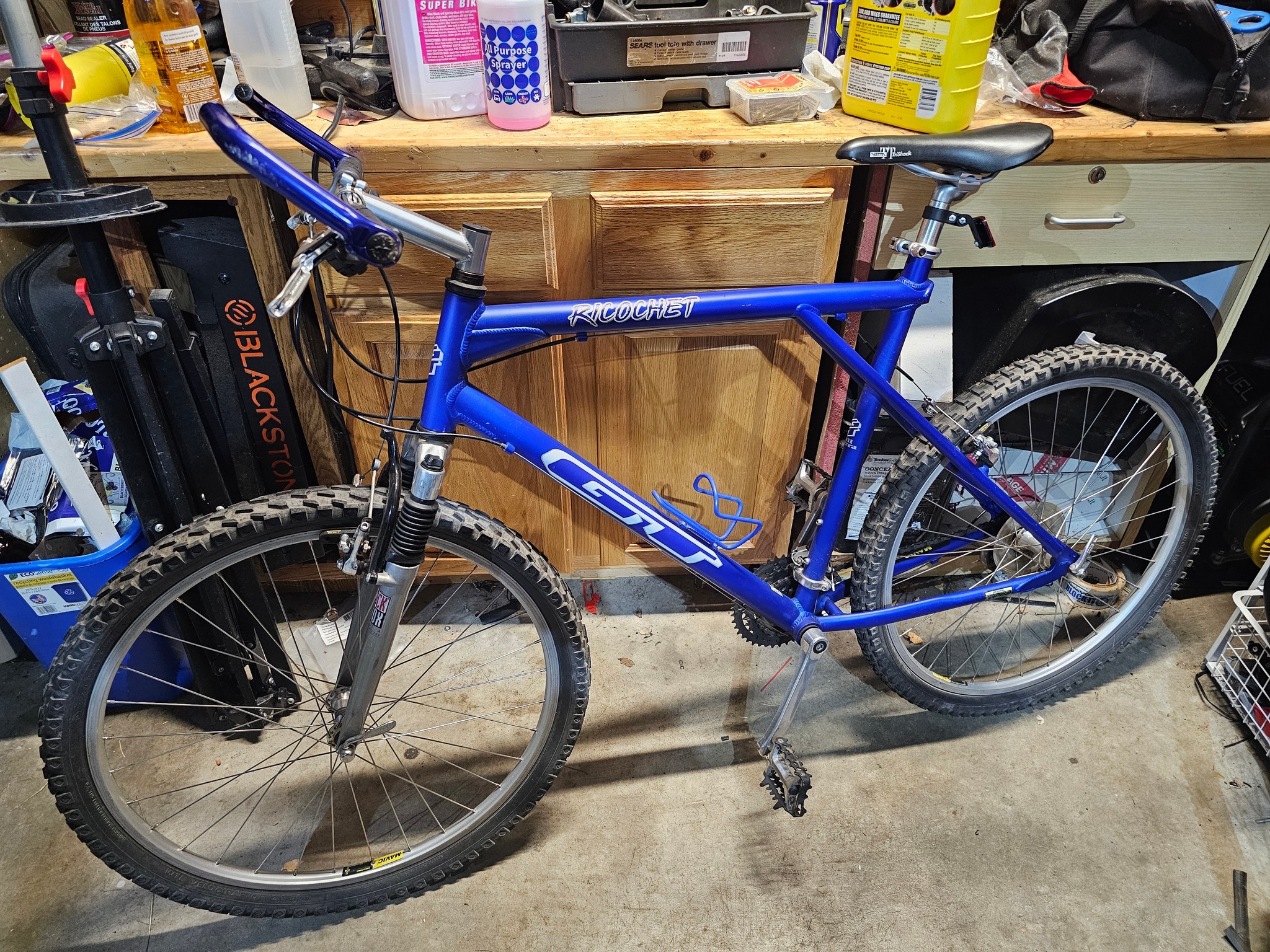 Mid 90s richochet bike with blue paint