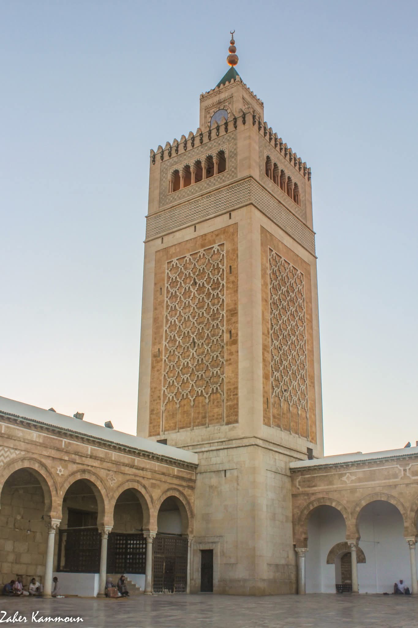 zaher-kammoun