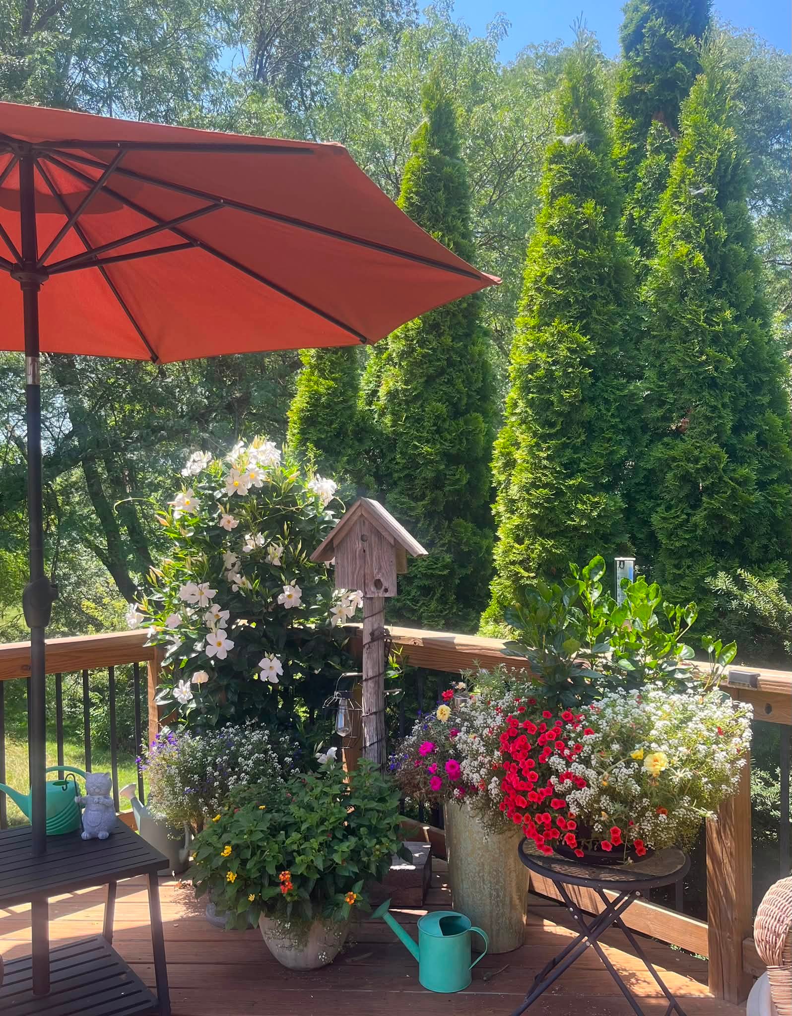 hibiscus patio umbrella LUVUP Beach and Grass with Matching Travel Carrying Bag - Large 7 Feet 5 Inches Tilting Telescopic Aluminum Pole - Twist Sand/Grass Anchor - Wind Air Vent Add a splash of color to your backyard with this market umbrella Outdoor Round Tablecloth With Umbrella