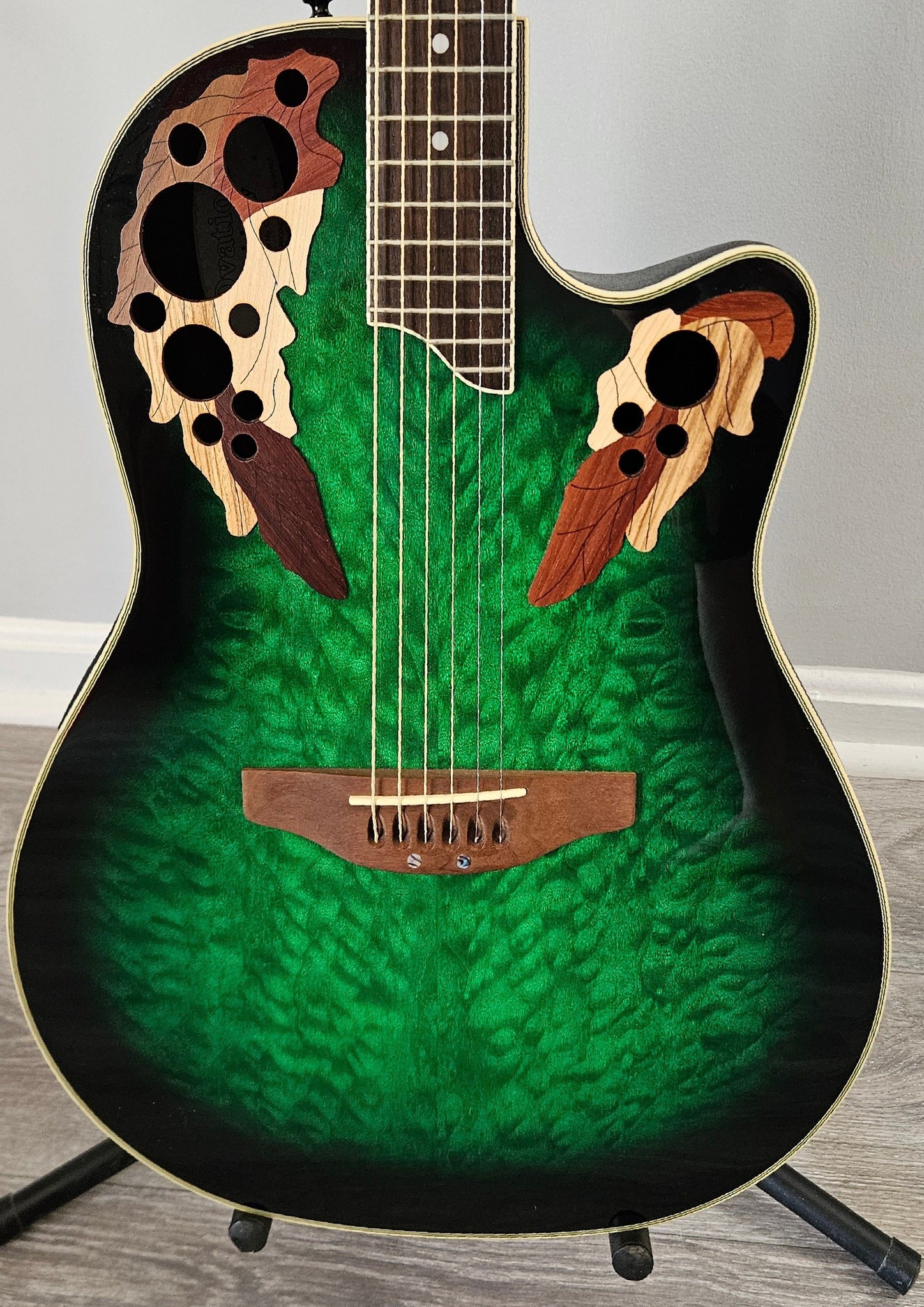 Ovation guitar collection and models