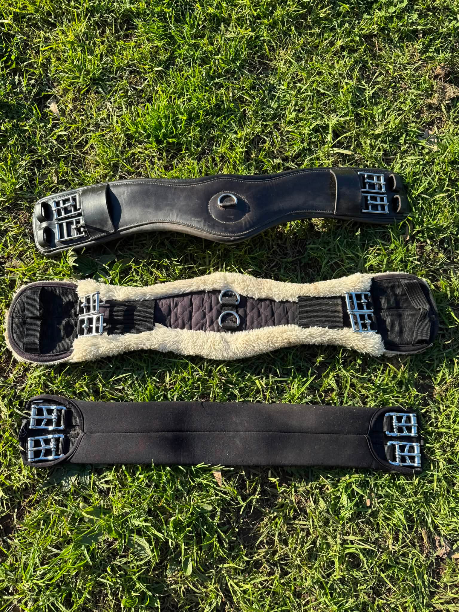 Gear for sale: Selling due to climbing vet bills Pick up 3981