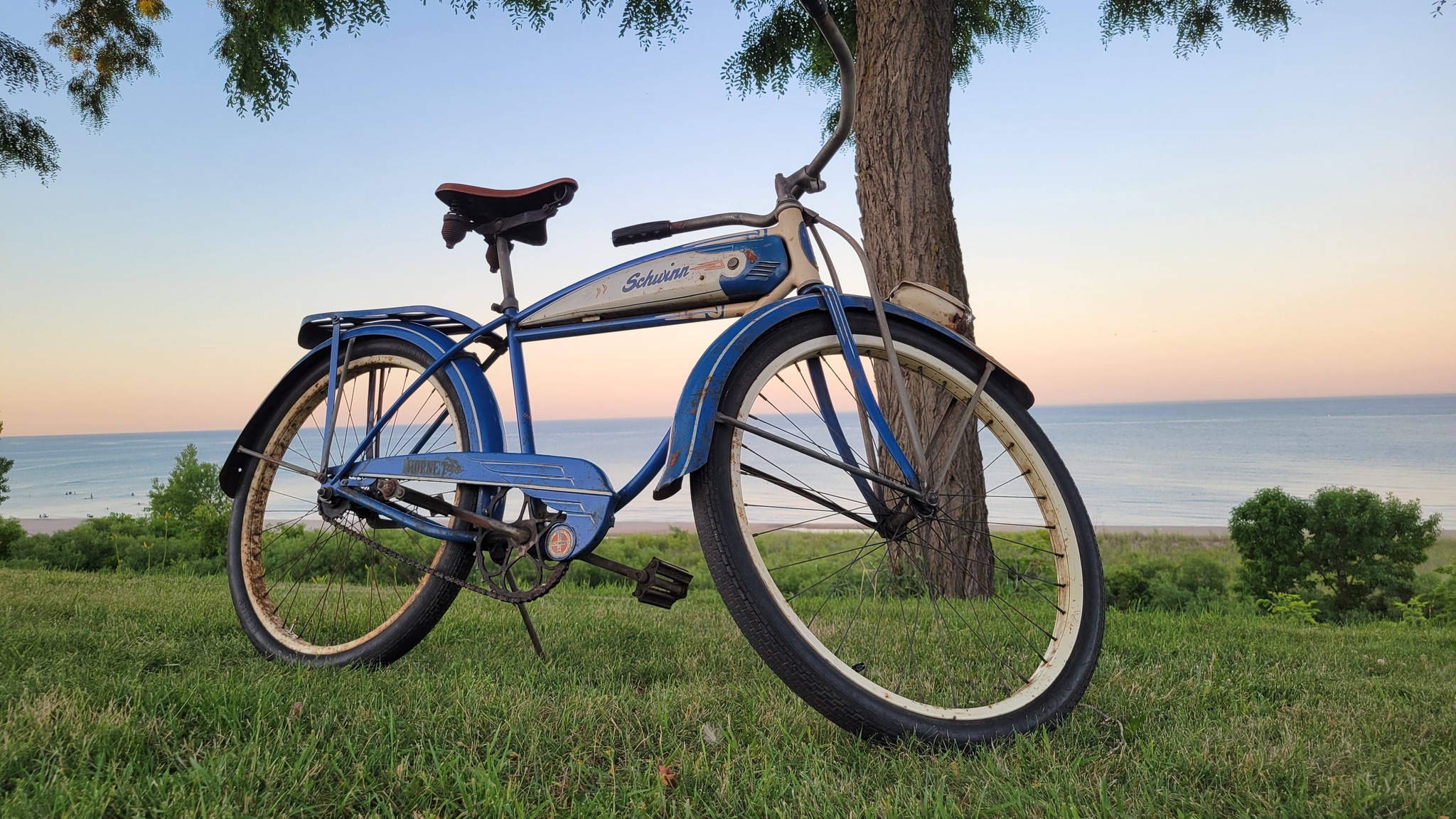 sea schwinn bicycles Riverwalk Comfort Bike, 26 Inch Wheels, 7 Speed, Blue speed twist shifter with Shimano rear derailleur for smooth precise shifting 26’ SCHWINN RULER BEACH CRUISER