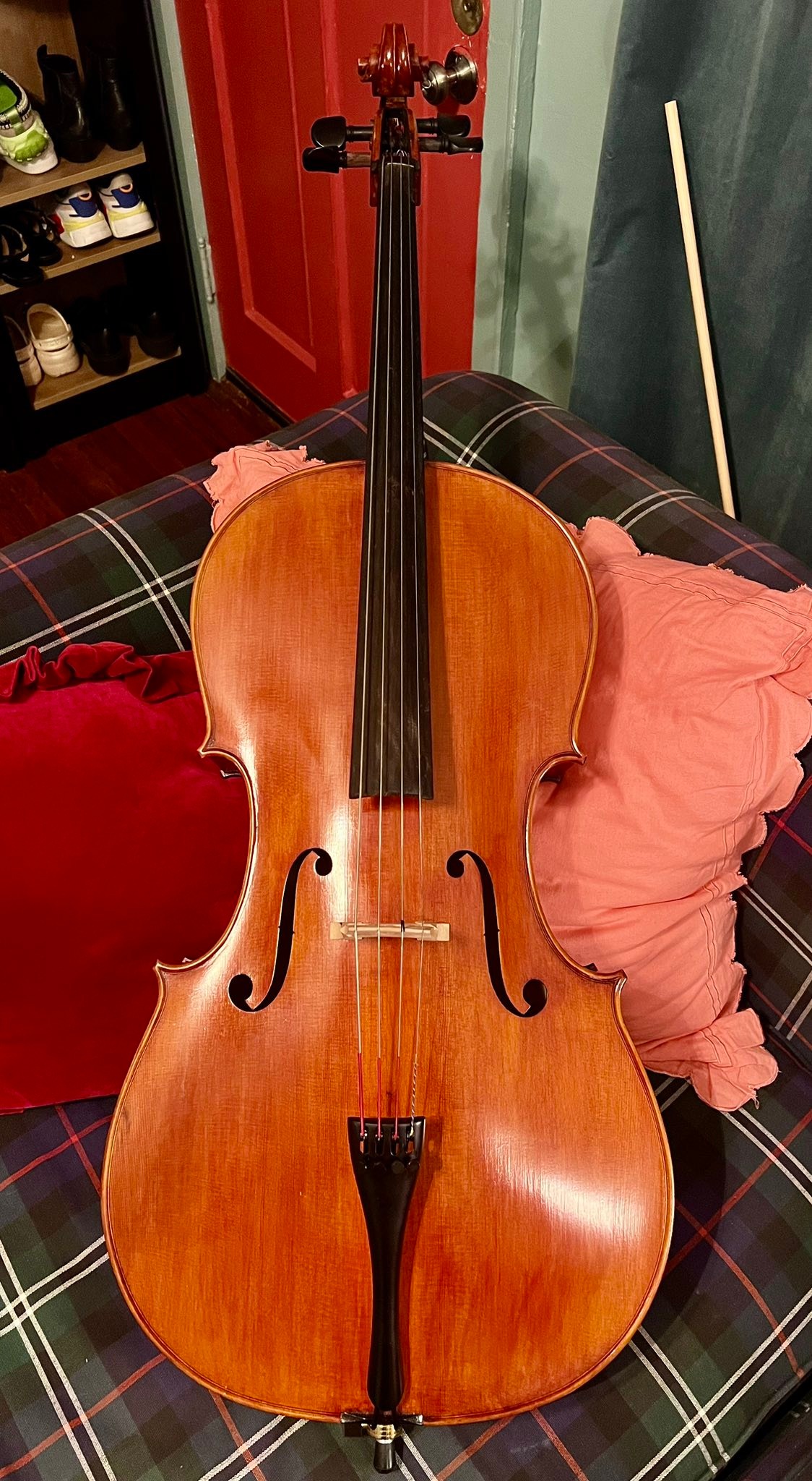 Identify cello with no label inside?