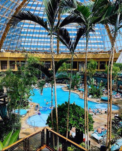 Has anyone had negative experiences at Harrah's AC pool after dark?