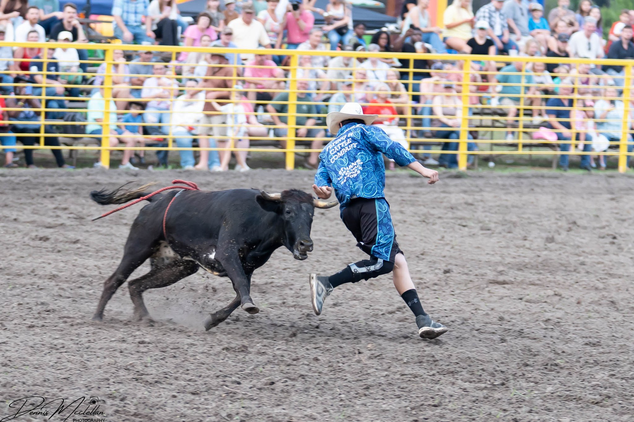 County Line Arena | Hemingway SC