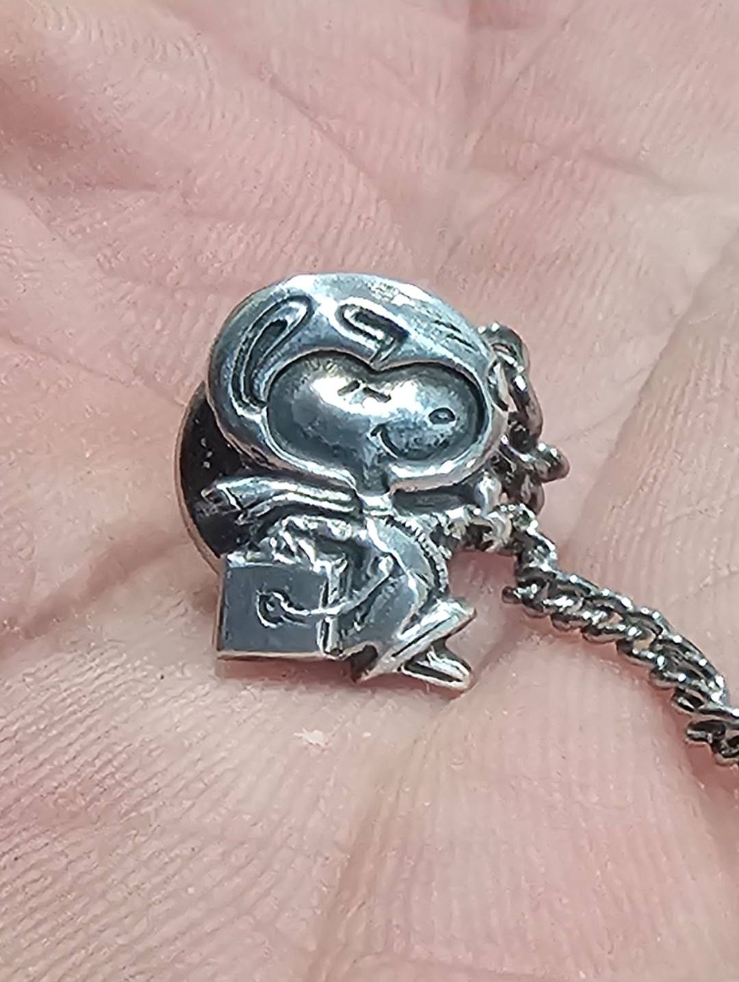 What mission was nasa silver snoopy pin award flown on?