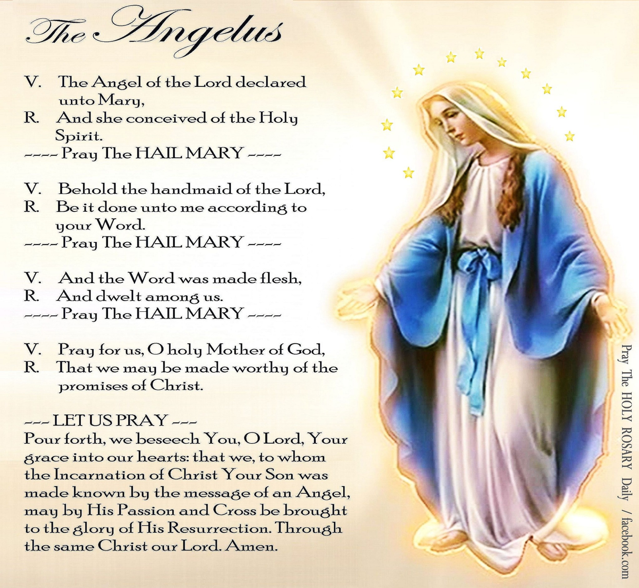 Let's find at least 1,000,000 Catholics who pray Rosary Daily on ...