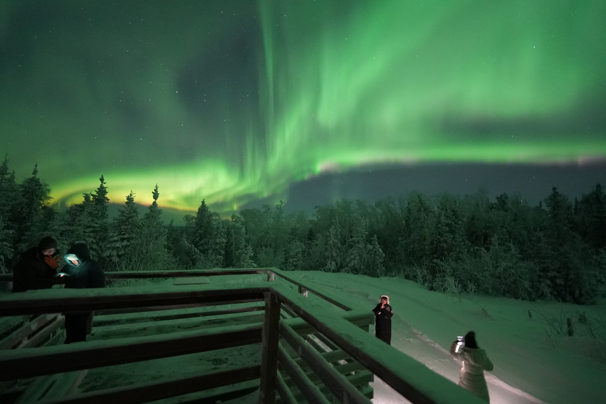 Aurora Husky Lodge - Aurora Viewing