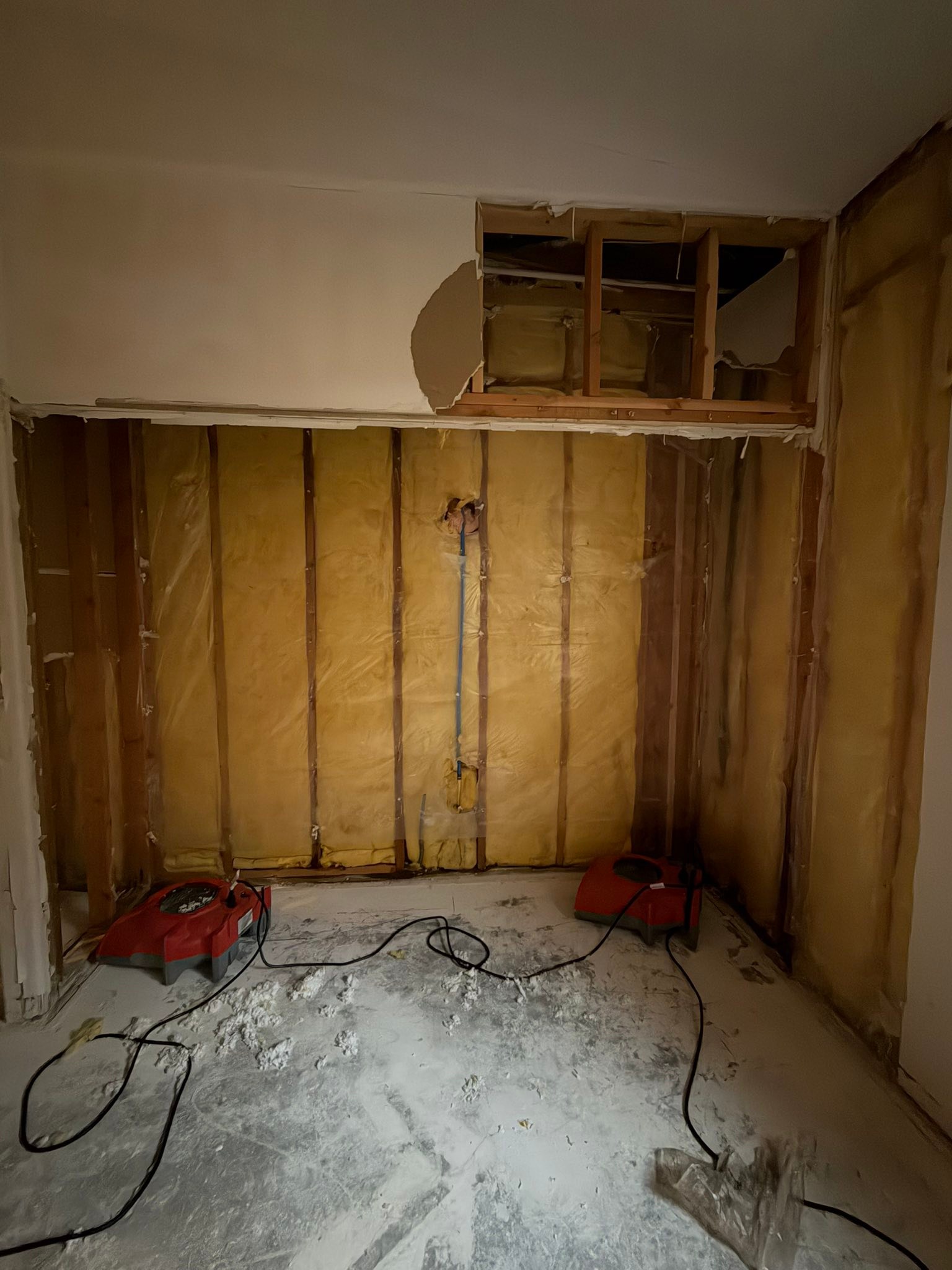 Rats causing home damage in Washington County | St. George, UT