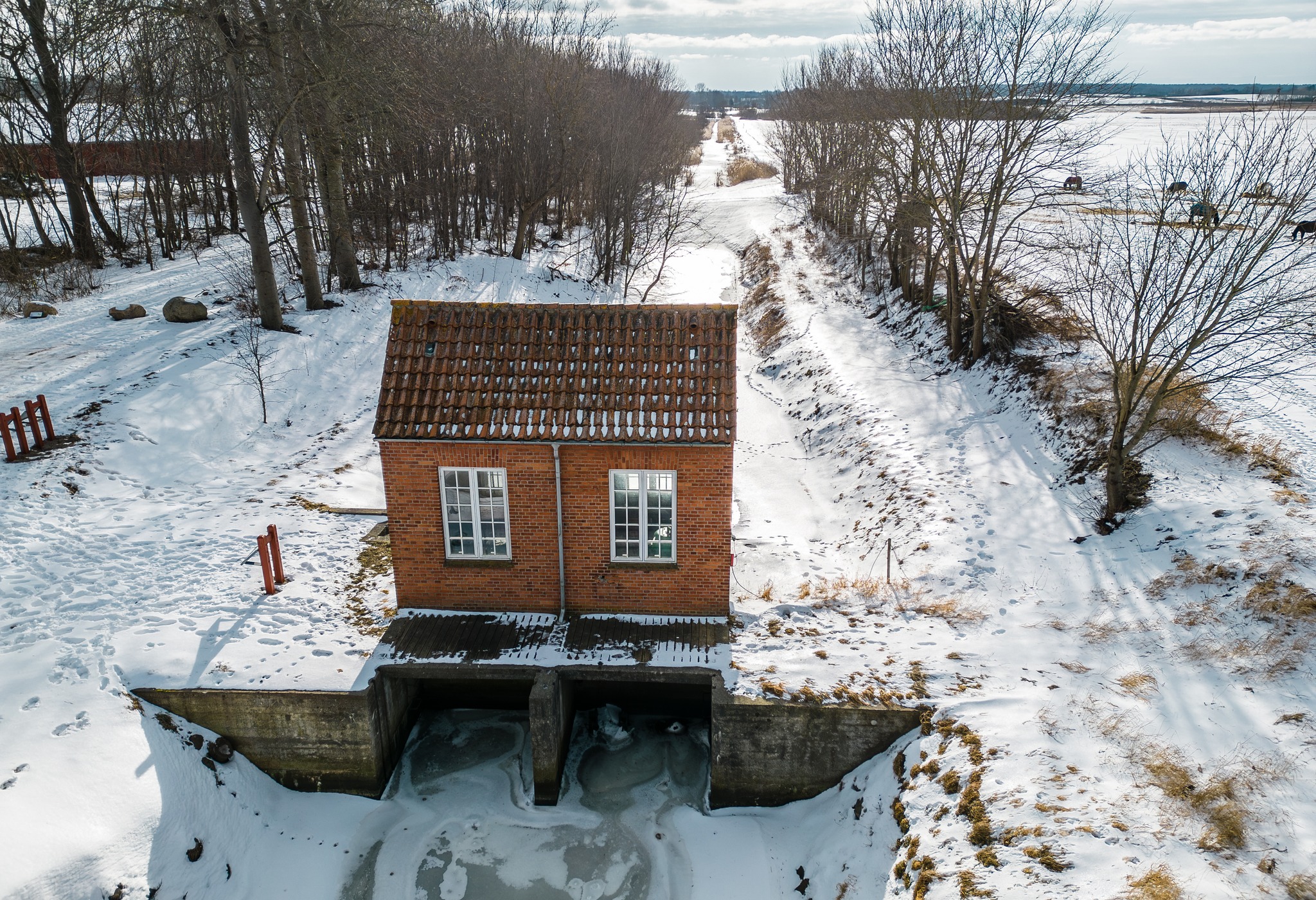 Søborg Sø - Fugle og Natur | Dronebilleder fra en råkold tirsdag | Facebook